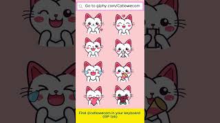 CatLowe GIFs  Use animated cat GIFs 😻 catgifs cat [upl. by Eizus801]