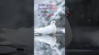 Jilibili Palukula Song Lyrics shortsviral shortsfeed song songlyrics songs telugusongs [upl. by Hael]