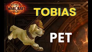 HOW TO EARN TOBIAS  TOY  WOW  WorldOfWarcraft [upl. by Nylarat]