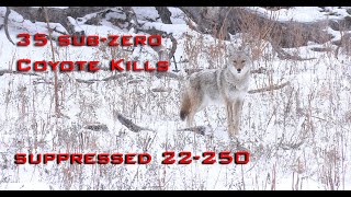 35 Sub Zero Coyote Kills Epic Winter Coyote Hunting [upl. by Natlus953]