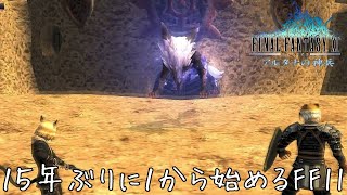 VSフェンリル FF11 アルタナの神兵編 44  魂の果て 前編 [upl. by Ellebasi253]