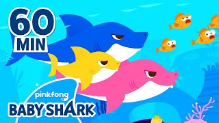 Baby Shark Doo Doo Doo 60 Min  Compilation  Baby Shark Remix  Baby Shark Official [upl. by Ecissej]