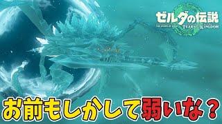 『ブリザゲイラ』のお腹に向けてダイビングするだけの簡単な作業です【ゼルダの伝説ティアーズオブザキングダム】20 [upl. by Aggappera]