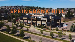 Discover Springbank Hill Businesses 🌟  City Spotlight  Giveaway 🎁 [upl. by Corinne965]