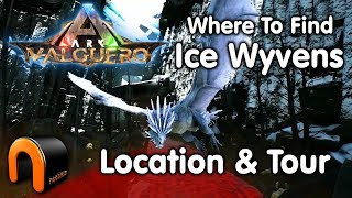 ARK VALGUERO Ice Wyvern Location amp Tour [upl. by Anair]