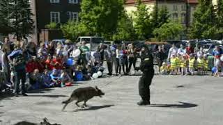 XV Bałtycki Festiwal Nauki 2018 [upl. by Derrej]