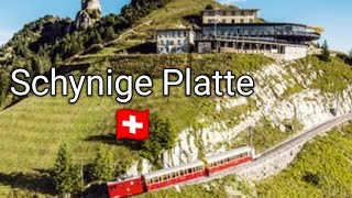 Schynige Platte part 2 myswitzerland nature travel mountains myreelsvideo [upl. by Annairda]