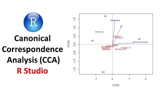 Canonical Correspondence Analysis CCA in R  Multivariate Analysis [upl. by Consuela]