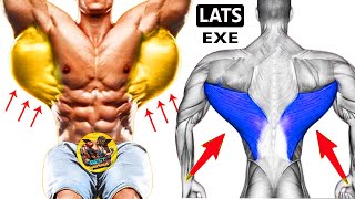 How to Build a V Tapered Back  5 EFFECTIVE EXERCISES [upl. by Clevie]