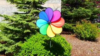 Rainbow Dazy Petal Spinner  In the Breeze  Wholesale Garden Décor [upl. by Zeb]