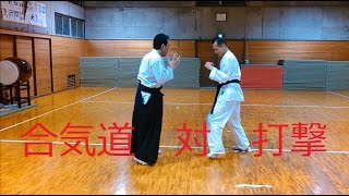 合気道の打撃との戦い方！打撃の捌き組手 覇天会（打撃自由技組手） 合気道 対 打撃 AIKIDO VS striking Fight in Aikido айкидо 合气道 [upl. by Rosario]