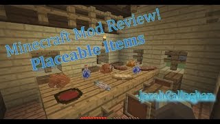 Minecraft Mod Reviews Placeable Items by Ferdz [upl. by Adiv]