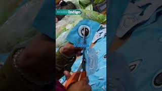 ¿Sabías que en México existe un pueblo que se dedica a la fabricación de peluches  Reporte Indigo [upl. by Det905]