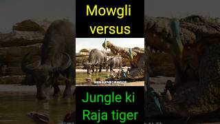 Mowgli versus 🆚 Jungle ki Raja tiger 🐅 movie viralshort shorts subscribe MrBeast [upl. by Gavrilla]