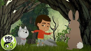 Through the Woods  Hush Little Bunny  PBS KIDS [upl. by Croix]