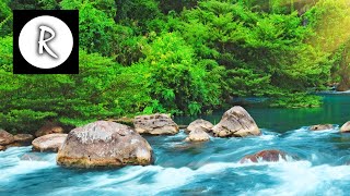 Relaxing Nature Sounds  Water Sound 24 Hours Gentle River amp Stream [upl. by Meingoldas]