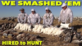 Hired to Hunt Season 7 9 WE SMASHED EM  Duck and Goose Hunting Limit Hunts in Alberta [upl. by Tirreg]