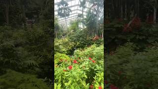 Butterfly garden at Fairchild tropical botanical park  Mango festival viral shorts [upl. by Enialahs430]