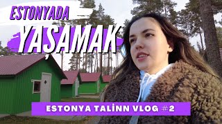 ESTONYADA YAŞAMAK NASIL BİR ŞEY   ESTONYA VLOG 2 [upl. by Hulbig]