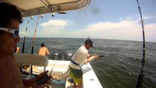 Offshore Fishing South Louisiana [upl. by Ahsatan]