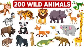 200 Wild Animals In English  Learn Animals Name In English With Pictures  Animals Vocabulary [upl. by Aivatnohs336]