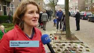 Groene stoeptegels in Adelheidstraat “Van groen word je gewoon gelukkig” [upl. by Epps]