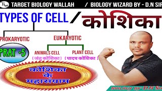 मानव कोशिकाHuman cellजंतु कोशिकाanimal cellपादप कोशिका plant cell cellbiology [upl. by Jacklin134]