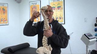 Medical Explanation of Forward Head Posture causing Neck Pain Pinched Nerve  Dr Mandell [upl. by Alain]