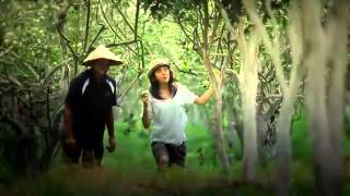 Video Promosi Wisata Jawa Timur  Wonderful Indonesia  East Java [upl. by Hashimoto113]