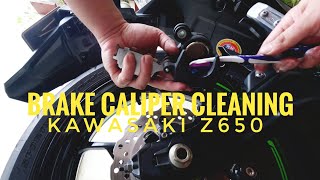 Brake Caliper and Pads Cleaning  Motorcycle Maintenance  Kawasaki Z650 [upl. by Oinafipe]