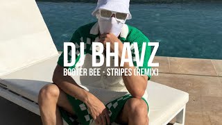 Booter Bee  Stripes Remix  DJ Bhavz [upl. by Gnuhn]