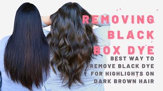 Removing Black Box Dye Color Correction BEST WAY TO REMOVE BLACK DYE FOR HIGHLIGHTS ON BROWN HAIR [upl. by Rozek]