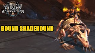 Bound Shadehound WoW Mount [upl. by Anez835]