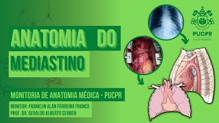 Mediastino  Monitoria de Anatomia Médica PUCPR [upl. by Worl]