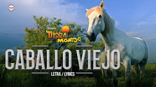 Banda Tierra Mojada  Caballo Viejo  Letra Lyrics [upl. by Intyre]