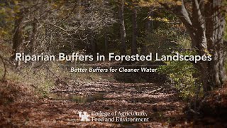 Riparian Buffers in Forested Landscapes  Better Buffers for Cleaner Water [upl. by Kristy]