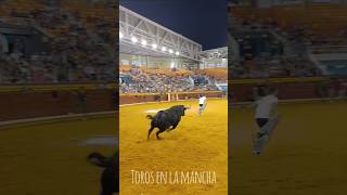 Increíble salto a este tortazo en illescas campo bull toro toros animals [upl. by Dilks102]