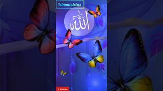 albakara youtubeshorts urdusadpoetryurdulovers islamicphrase vairalshort [upl. by O'Carroll399]