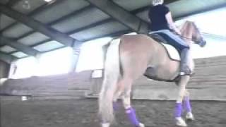 Beginner Dressage Rider Learns About Using the Hips to Turn the Horse [upl. by Ramak]