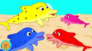 We Are The Dolphins  Sea Animals and Preschool Rhymes for Babies [upl. by Zinnes]