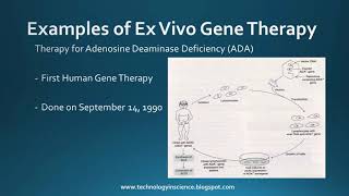 Vectors for Gene Therapy [upl. by Henryson]