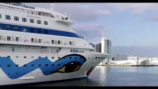 AIDA Selection  AIDAcara erreicht Auckland [upl. by Yrreiht]