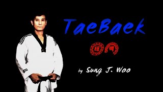 🥋 TAEBAEK Step by Step Explanation  WT Taekwondo Black Belt 3rd Dan Poomsae  품새 태백  TaekwonWoo [upl. by Druci]