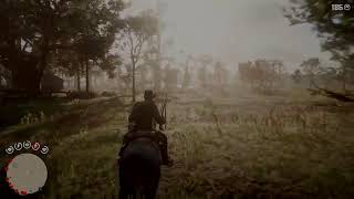 RDR2Money glitch that works [upl. by Marasco]