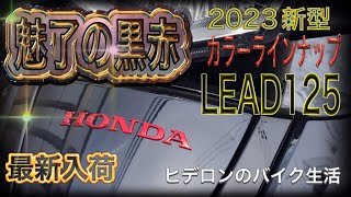 ヒデロンのバイク生活【HONDA LEAD125】新色初入荷⭐️魅惑の黒赤⭐️2023新型新色ホンダ リード125 [upl. by Haldes]