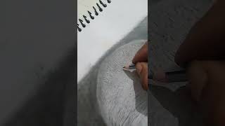 Hyper realistic drawing art hyperrealistic drawing trending shorts [upl. by Artemahs]