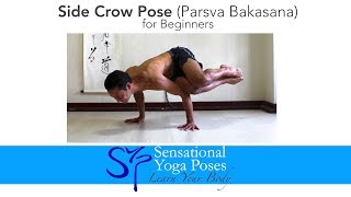 Side Crow Pose Parsva Bakasana for Beginners [upl. by Eiramanad]