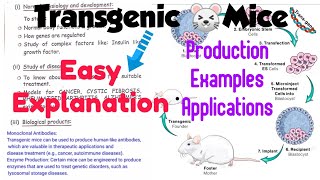 Transgenic mice🐭 Production Examples Applications Animal biotechnologynotes 🤩 [upl. by Chainey357]