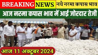 आज 11 अक्टूबर 2024 नरमा कपास के भाव नरमा कपास भाव में आई जोरदार तेजी narma kapas bhav cotton price [upl. by Fulvi596]