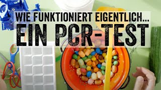 Wie funktioniert eigentlich ein PCRTest [upl. by Mera]